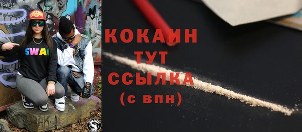 винт Гусев