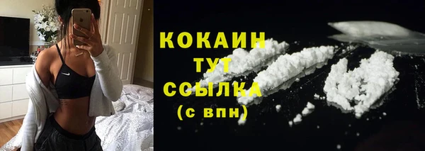 винт Гусев