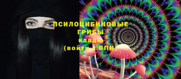 хмурый Гусиноозёрск