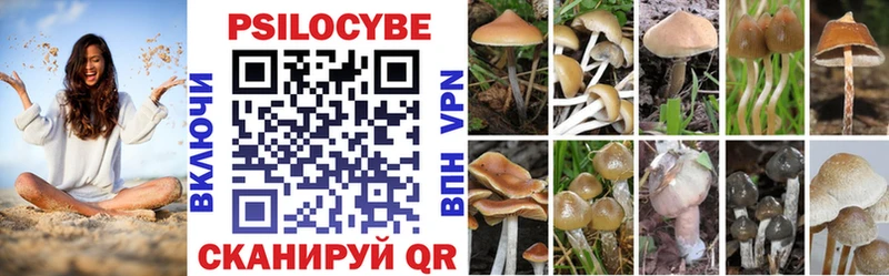Галлюциногенные грибы Magic Shrooms  купить  сайты  Камышин 